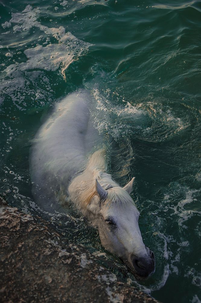 Photograph by Дарья Кравченко