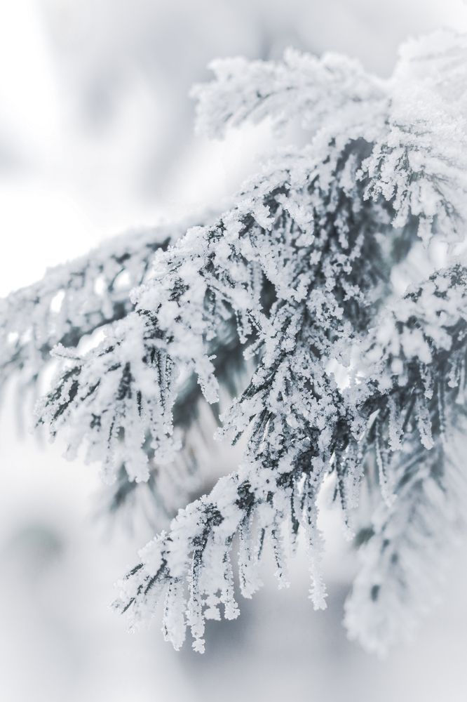 Photograph by Анна Чичилова