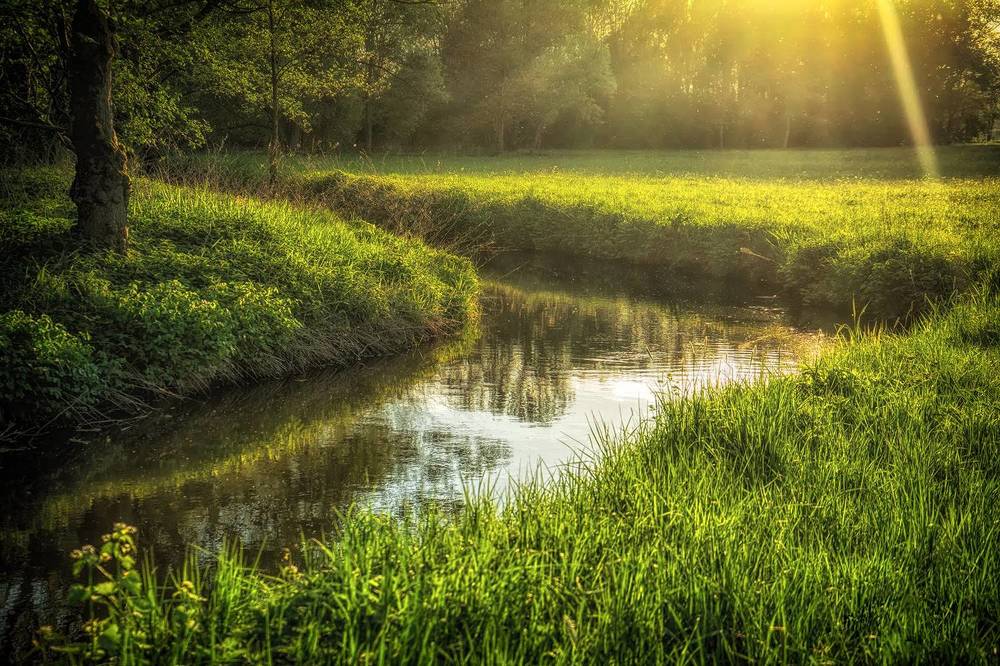 Photograph by Лидия