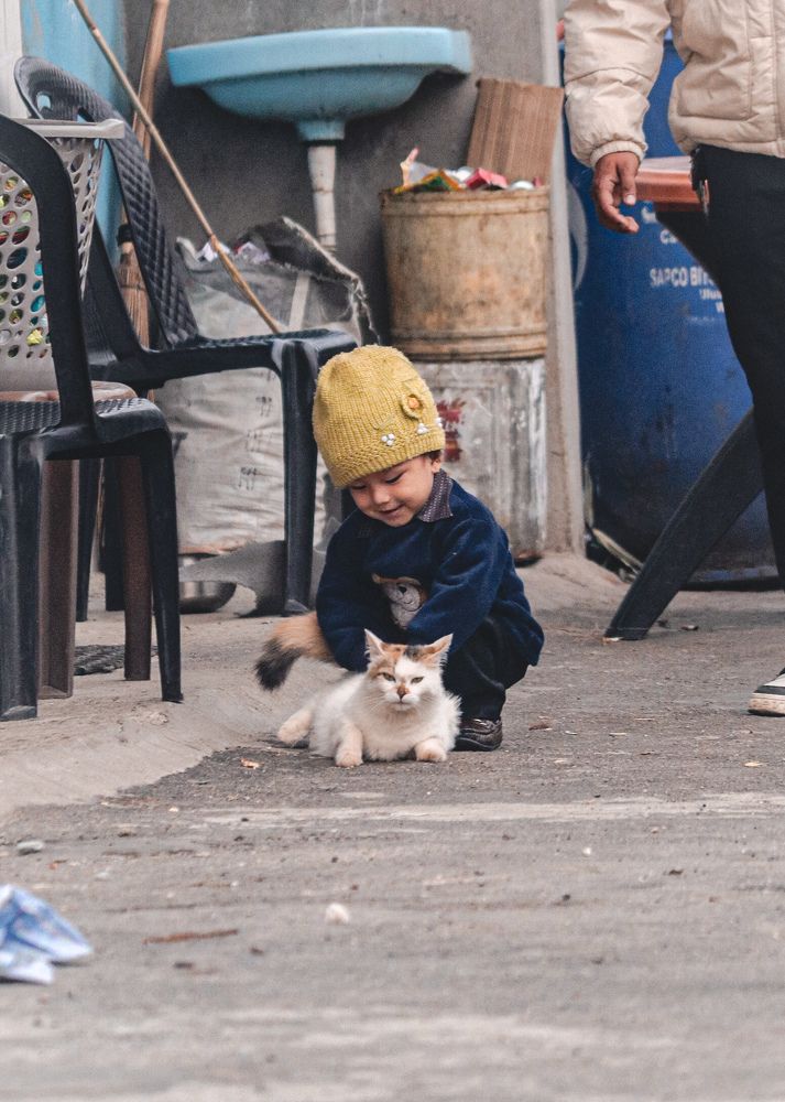 A little boy and a street cat.