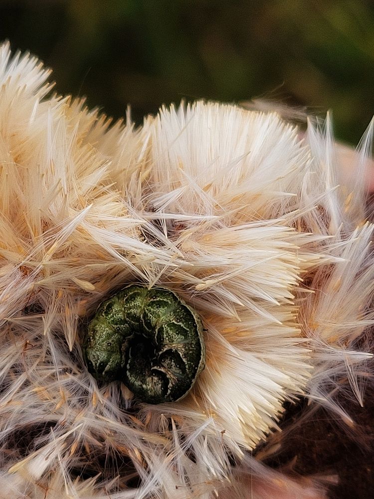 Photograph by Алина