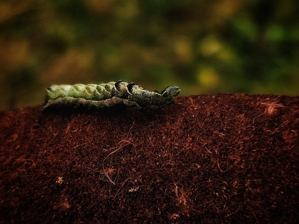 Photograph by Алина