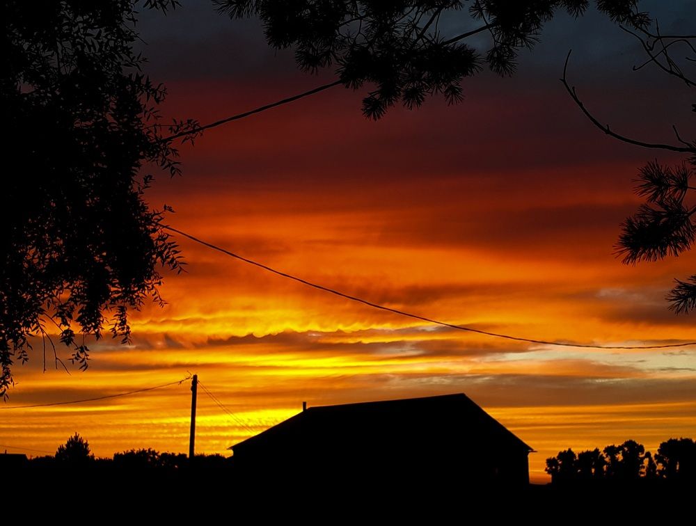 Photograph by Кристина Присяжная