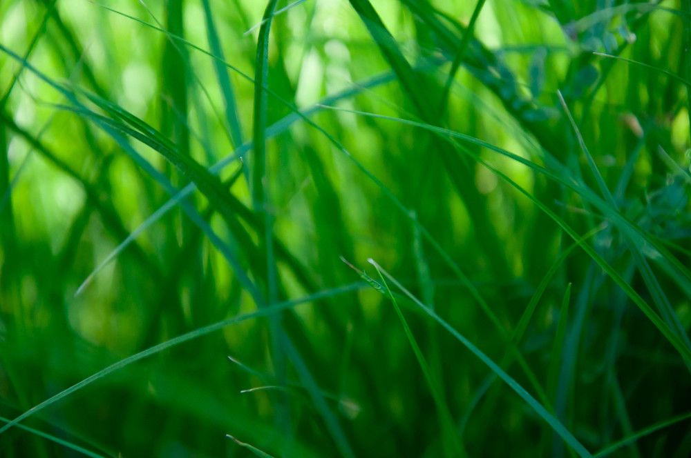 Photograph by Кирилл Владыкин