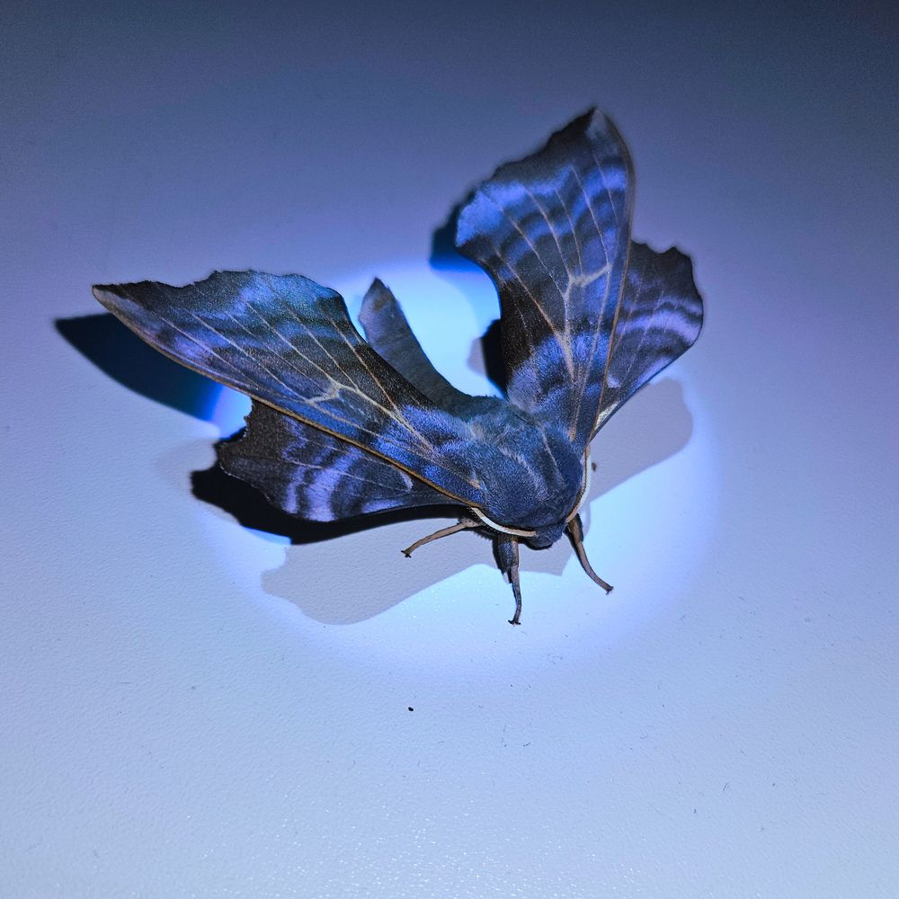 Photograph by Кристина Присяжная