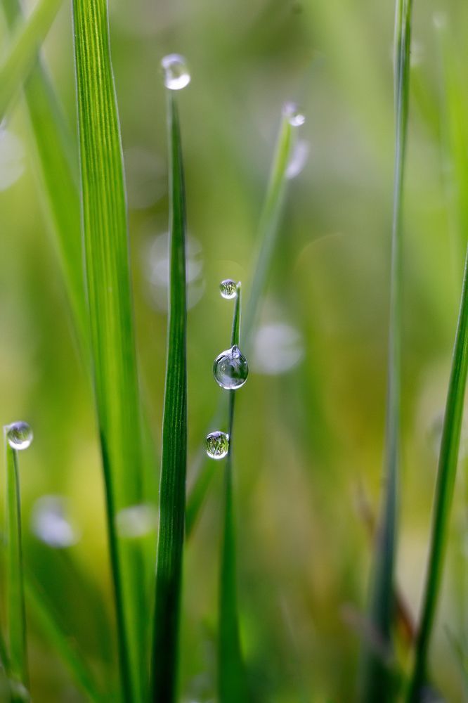 Фотография автора Борис Журавлёв