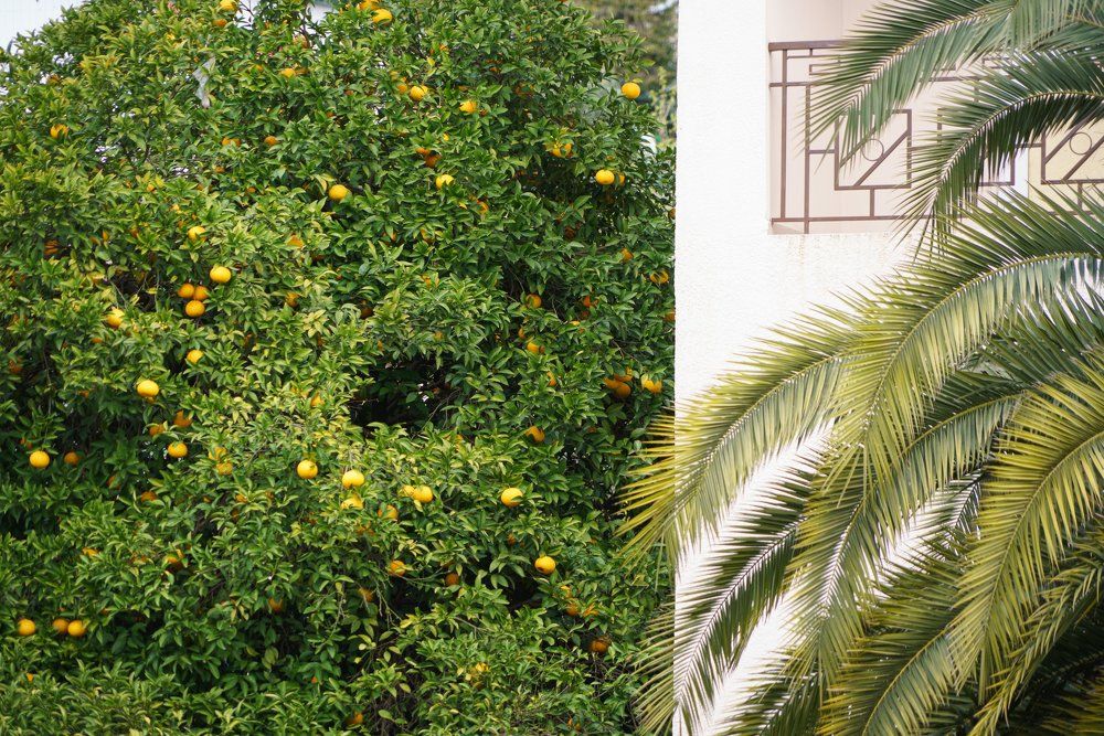 Photograph by Алексей Лесин