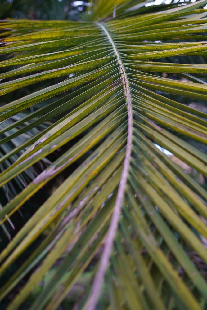 Photograph by Алексей Лесин