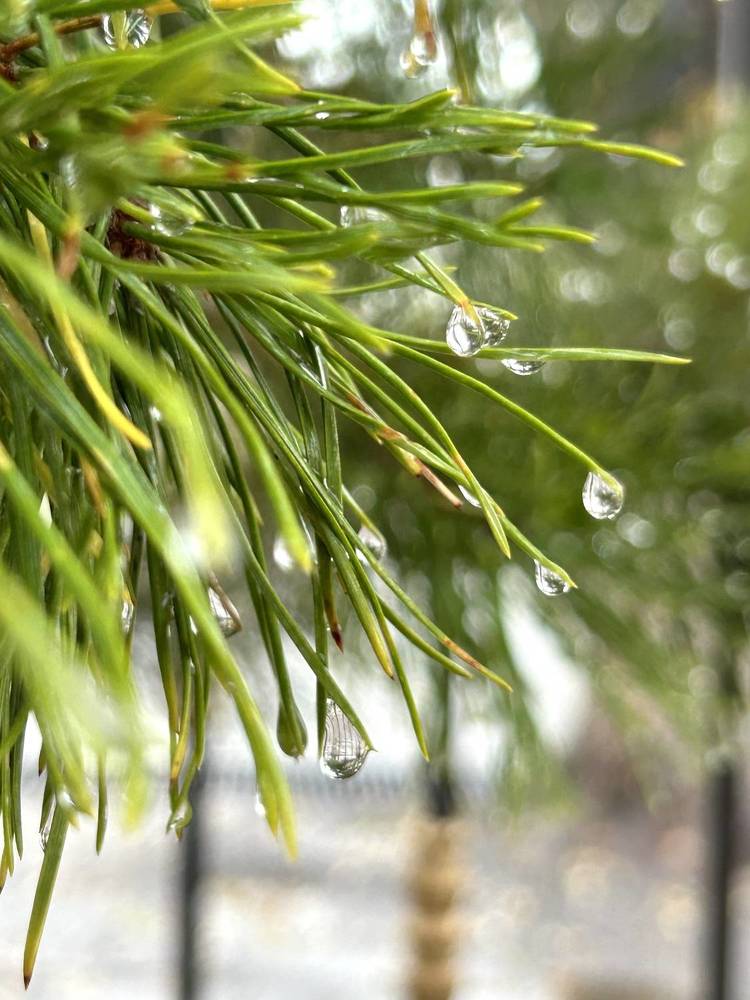 Photograph by Амирова Анар