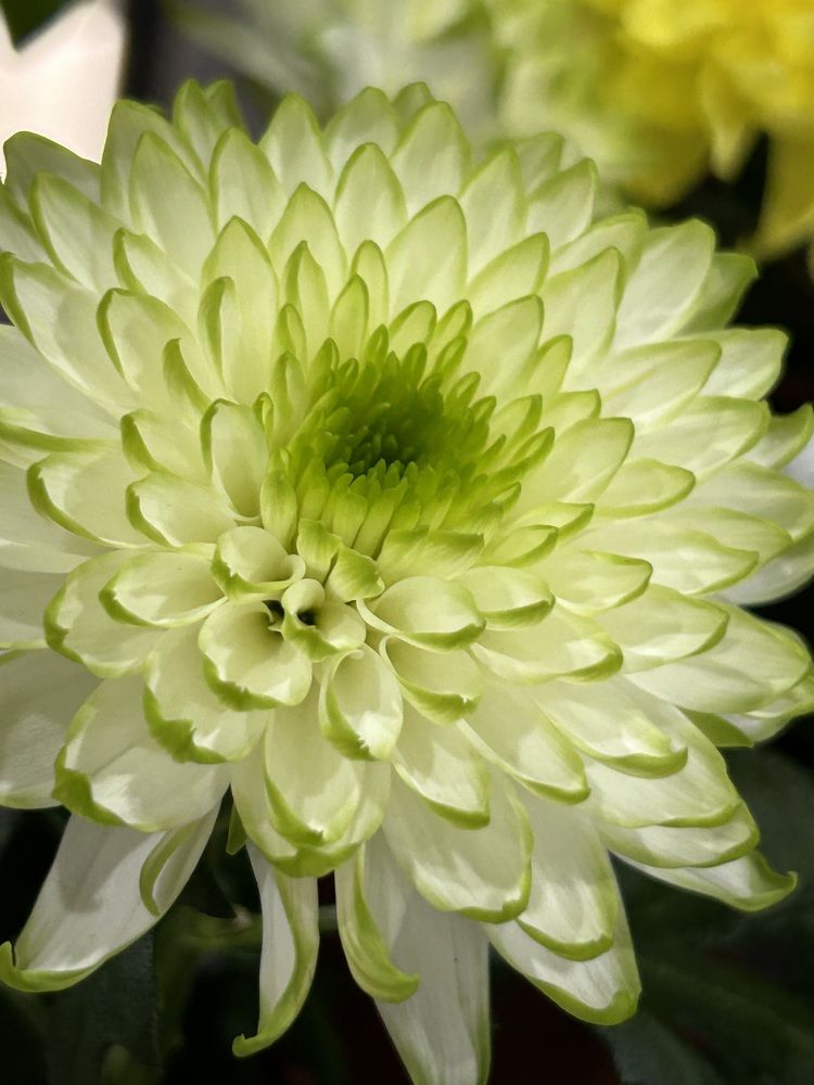 Photograph by Амирова Анар