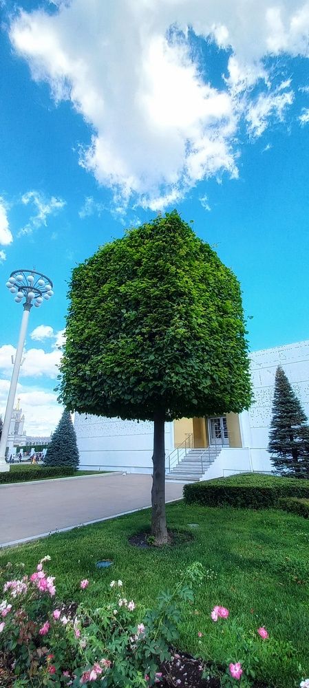 Photograph by Владимир Баженов