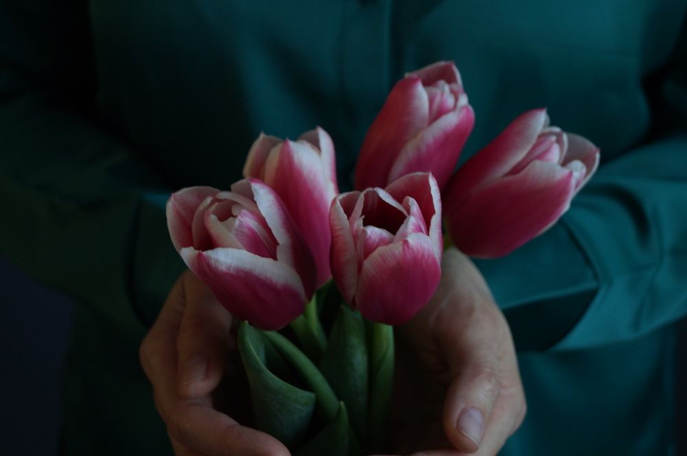 Photograph by гульназ замалеева