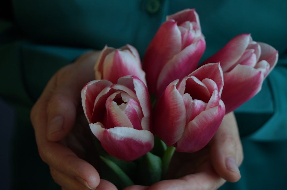 Photograph by гульназ замалеева