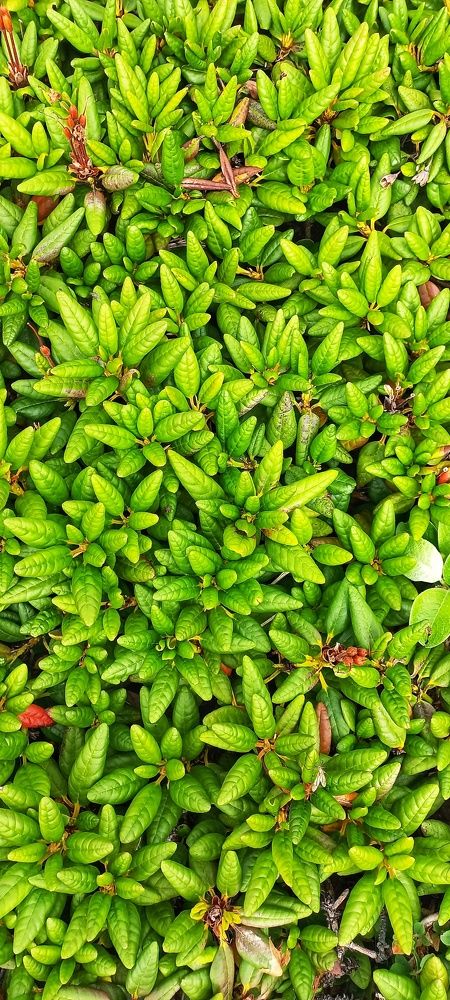 Photograph by Владимир Баженов