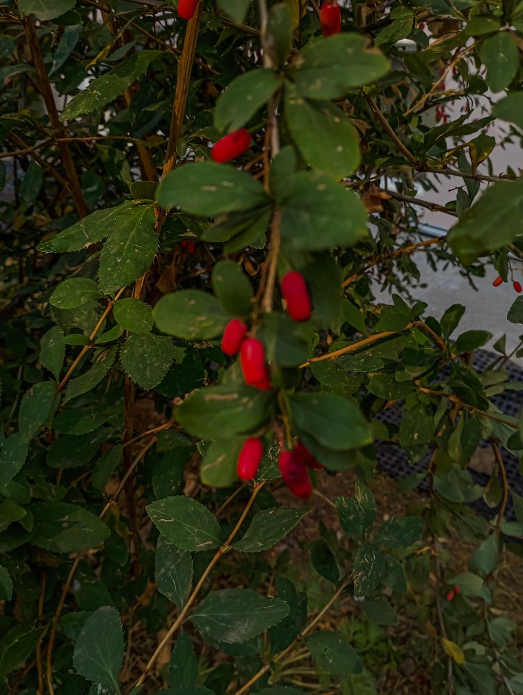 Photograph by Елена Ерасова