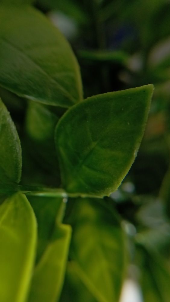 Photograph by Елена Ерасова