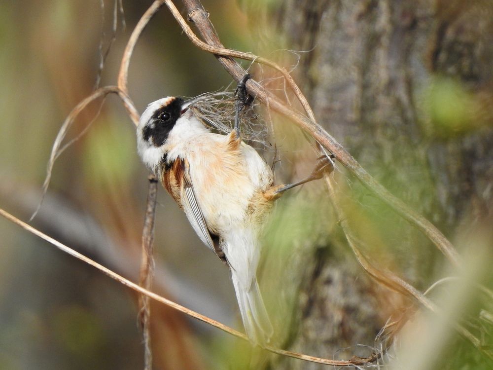 Photograph by Елена Старкова