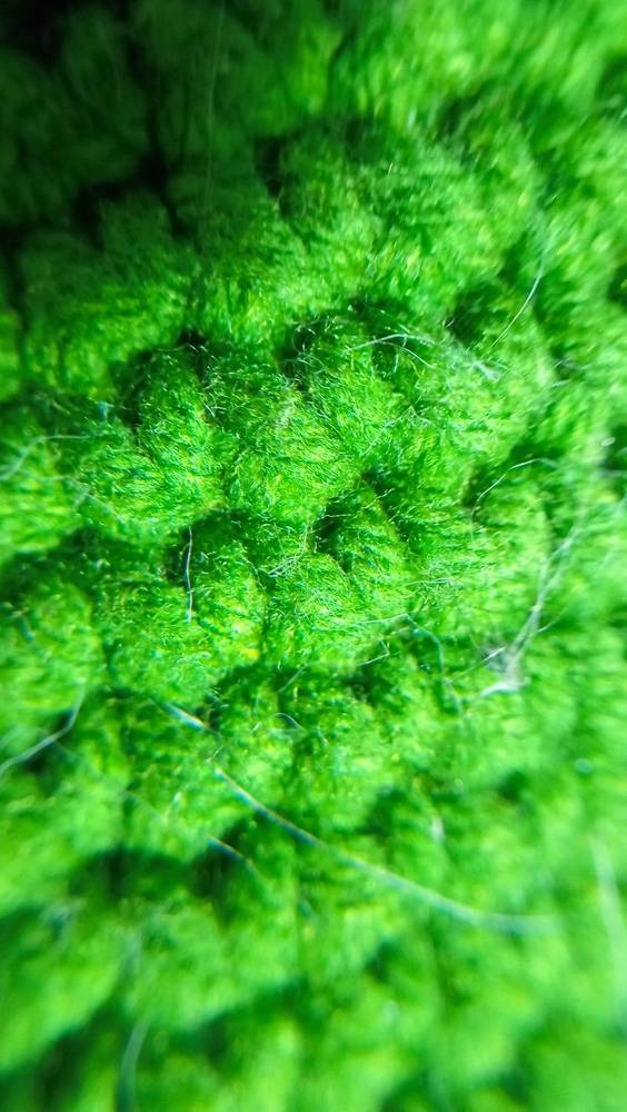 Photograph by Елена Ерасова