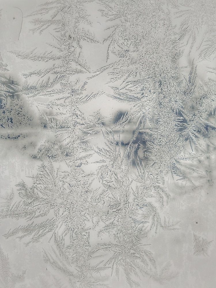 Photograph by Владимир Баженов