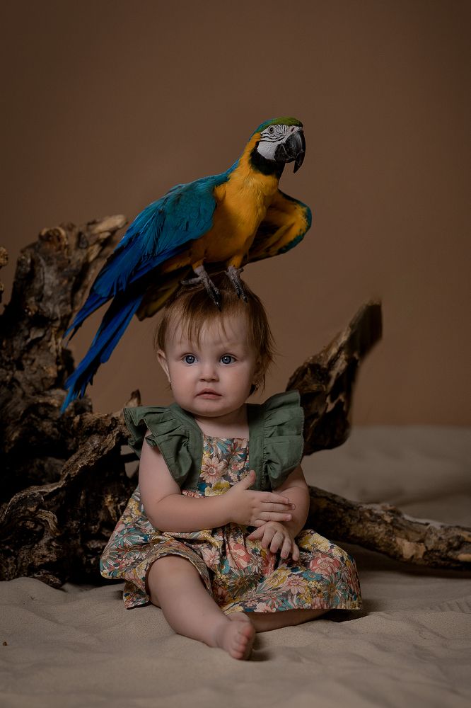 Photograph by Сергей Хрулев