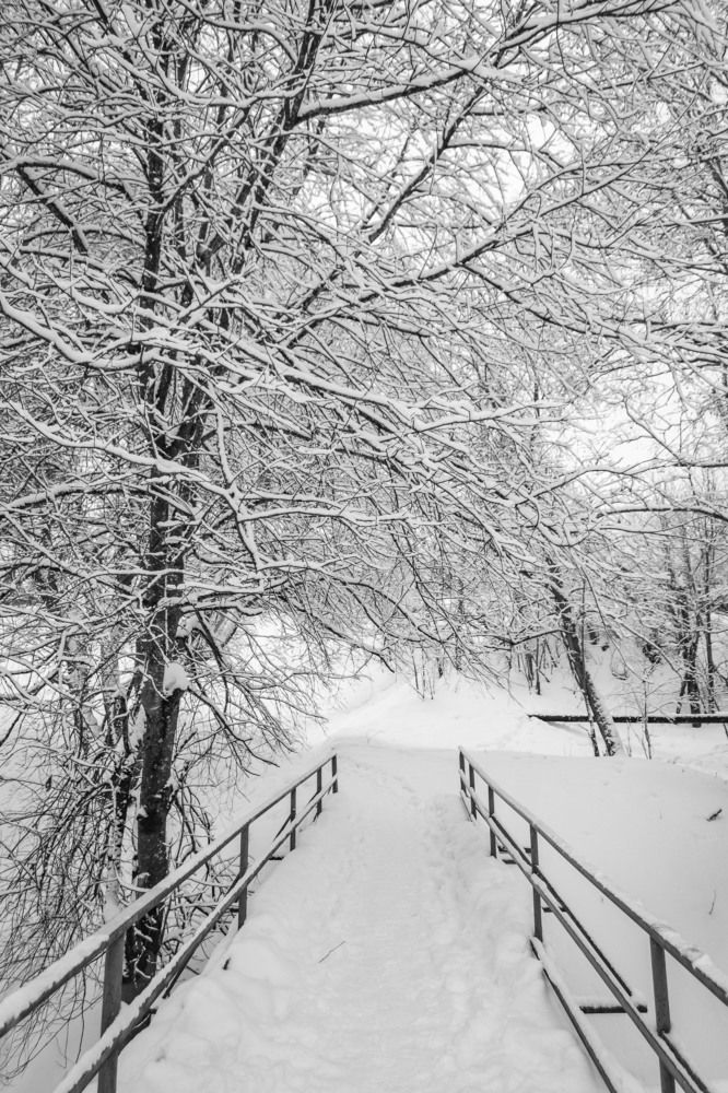 Фотография автора Комаров Иван