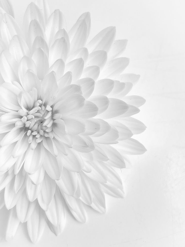 Photograph by Олеся Лагутина