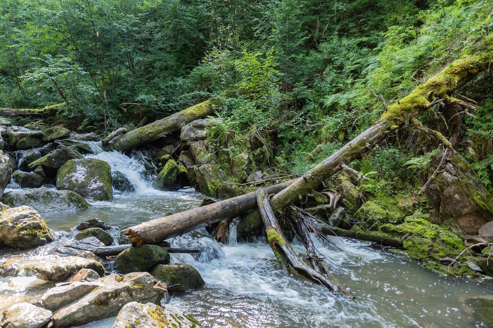 Photograph by Татьяна