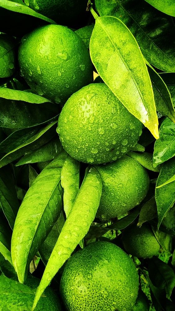 Photograph by Наталья Рау