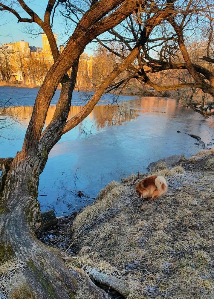 Photograph by Александра Борисовна