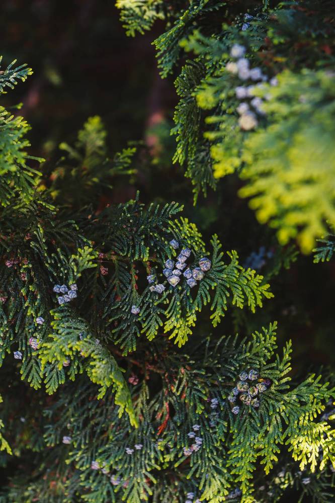 Фотография автора Юлия Гантимурова