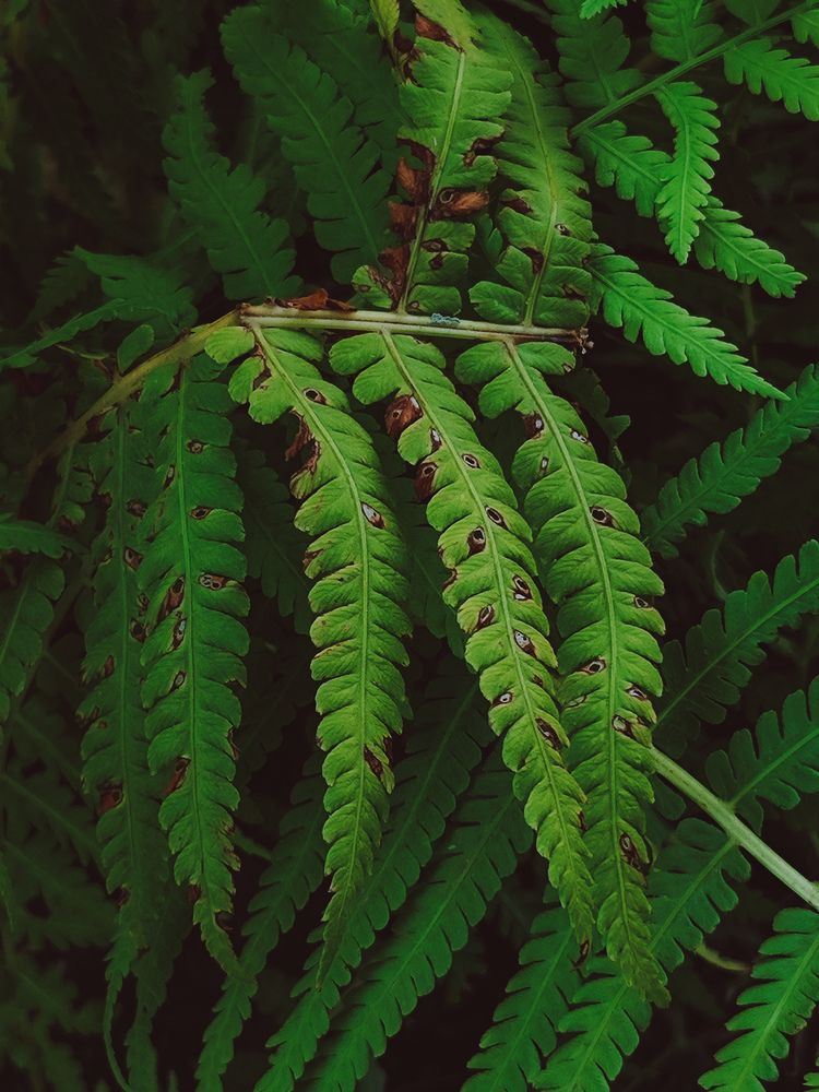 Фотография автора Юлия Гантимурова