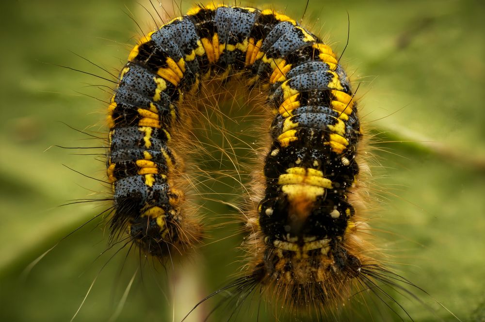 Photograph by Вячеслав Мельников