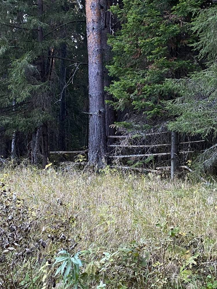 Photograph by Vera Romanova