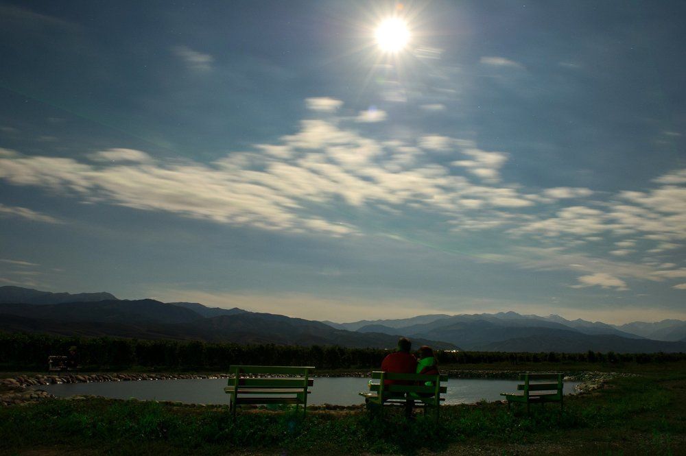 Ночное рандеву