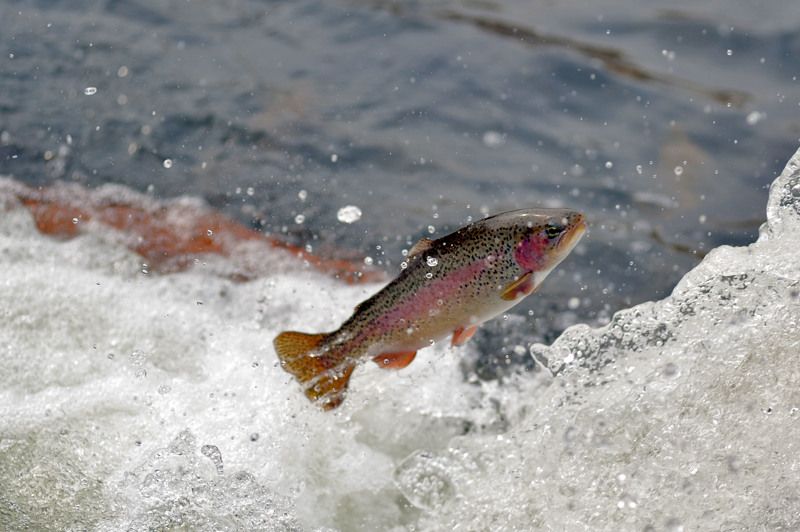 Ильяс, Kazakhstan