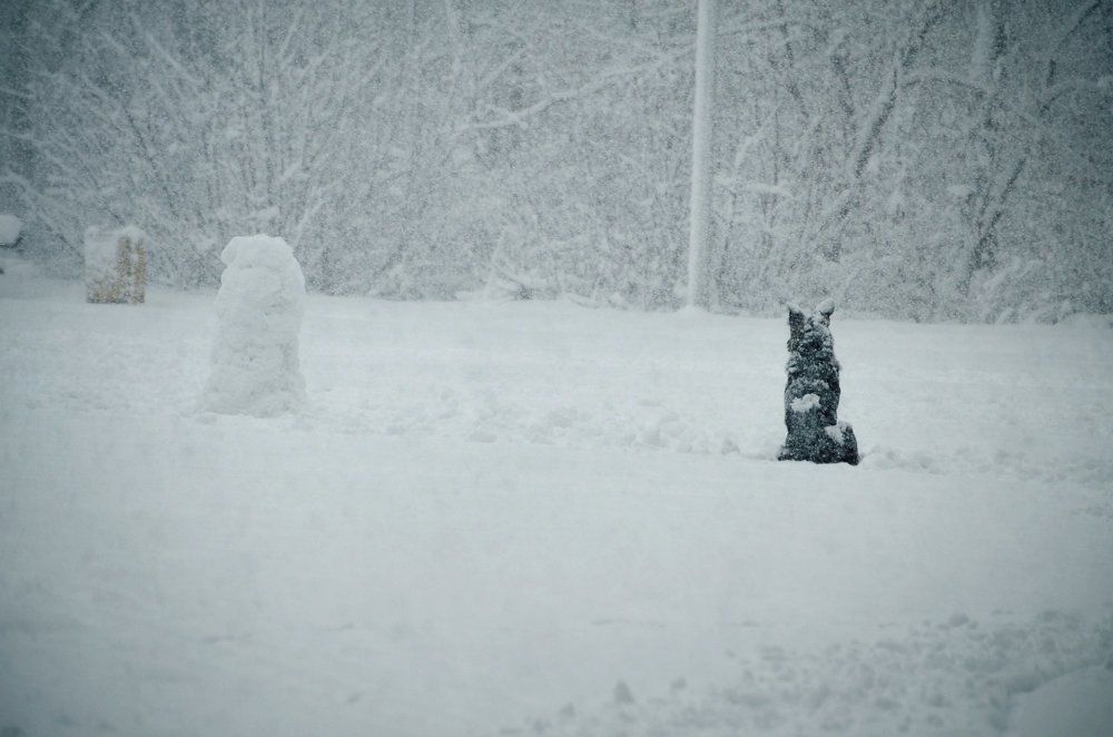 два одиночества
