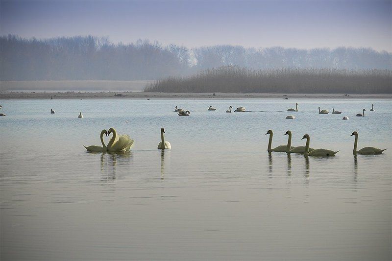 Alenka Druzhynina, Ukraine
