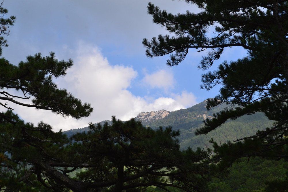 Photograph by Кристина