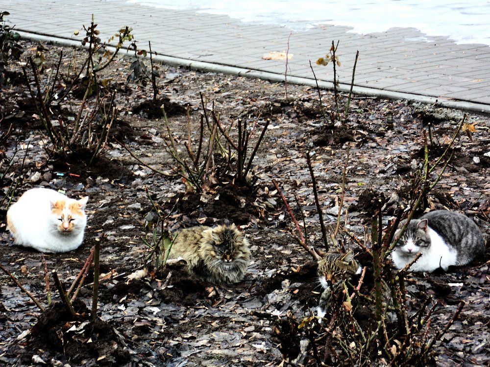 Как такой вам Натюрморт?