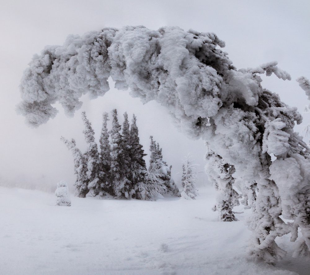 Восковые истуканы северного Урала