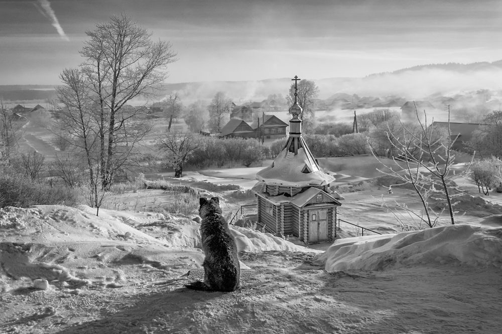 Утренний созерцатель