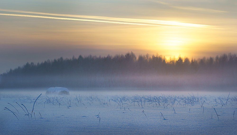 Розовый туман