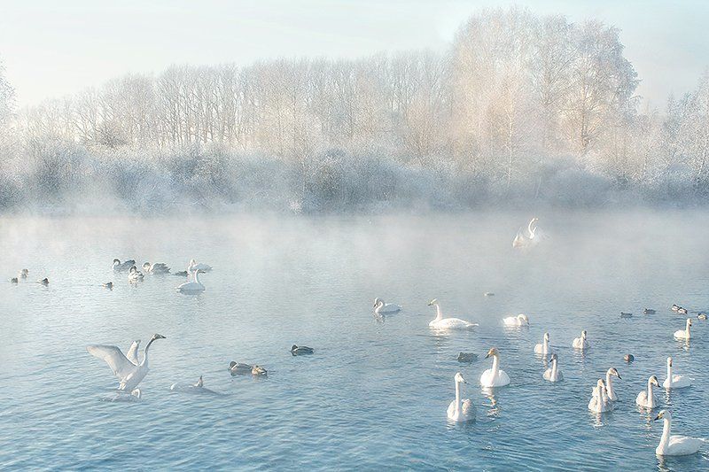 Svetlana Ulyanova, Russia