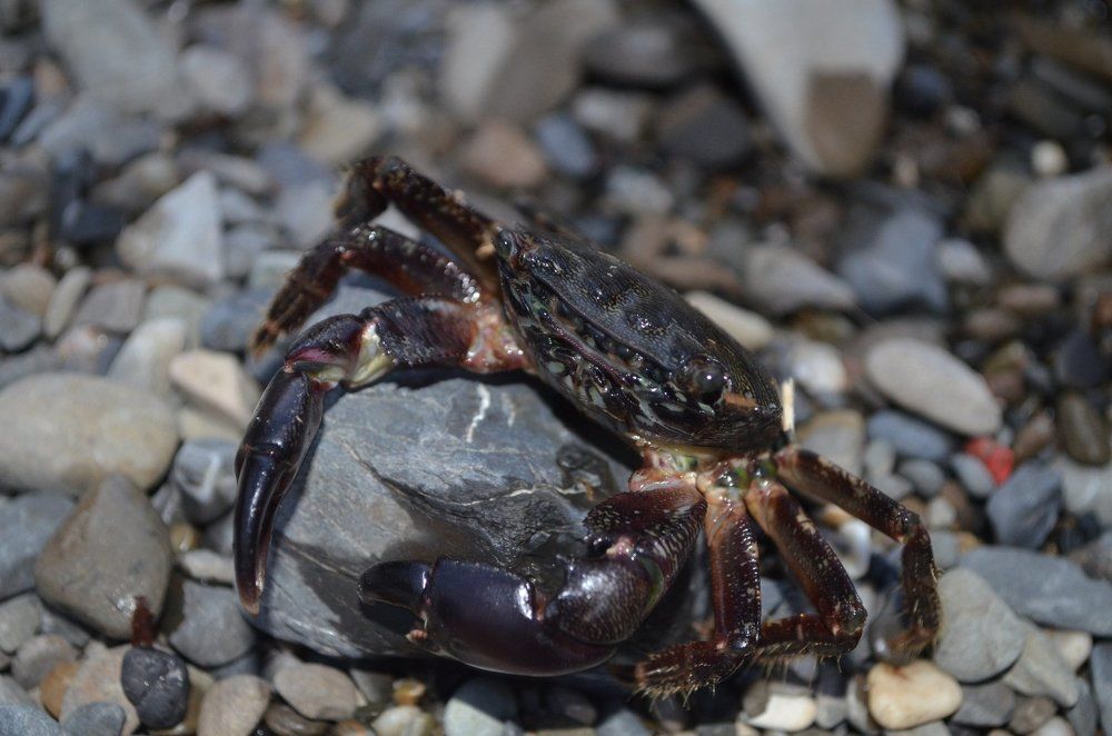 Photograph by Наталия