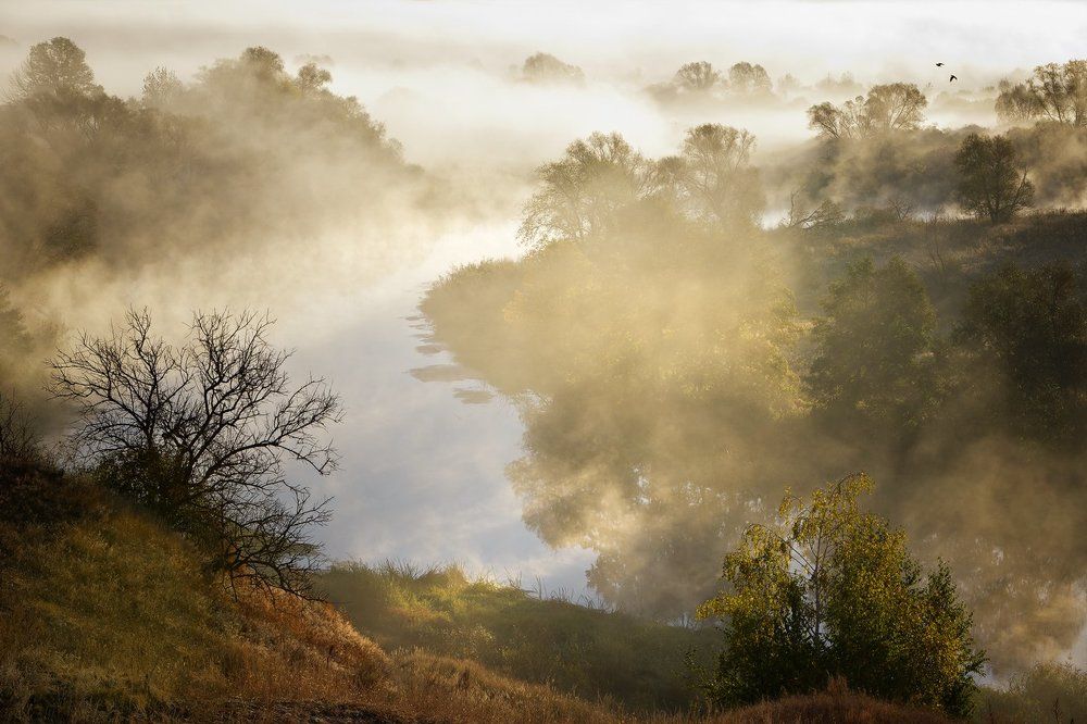Туманный поворот.