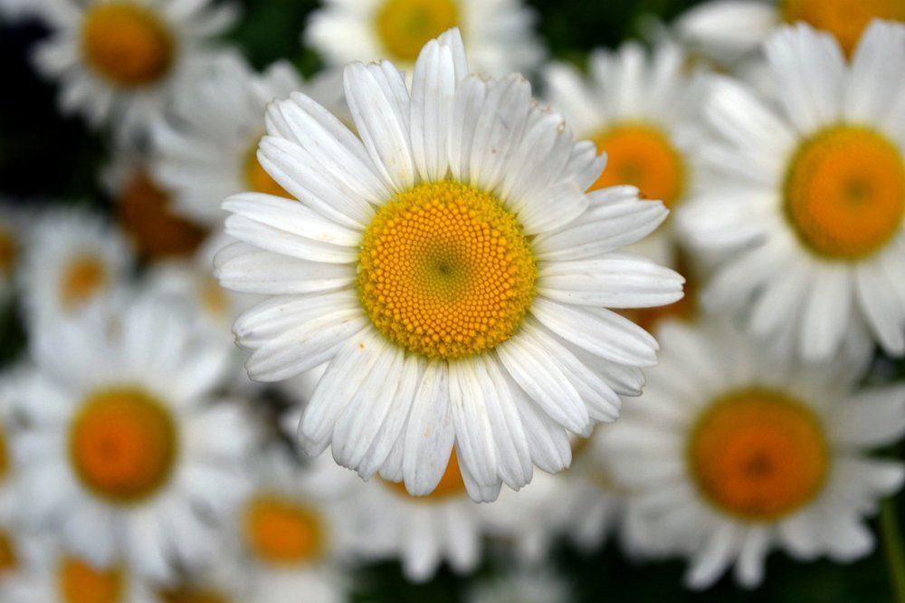 молодость на века