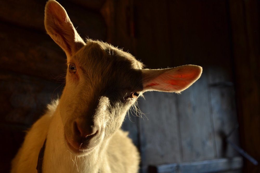 проницающий взгляд