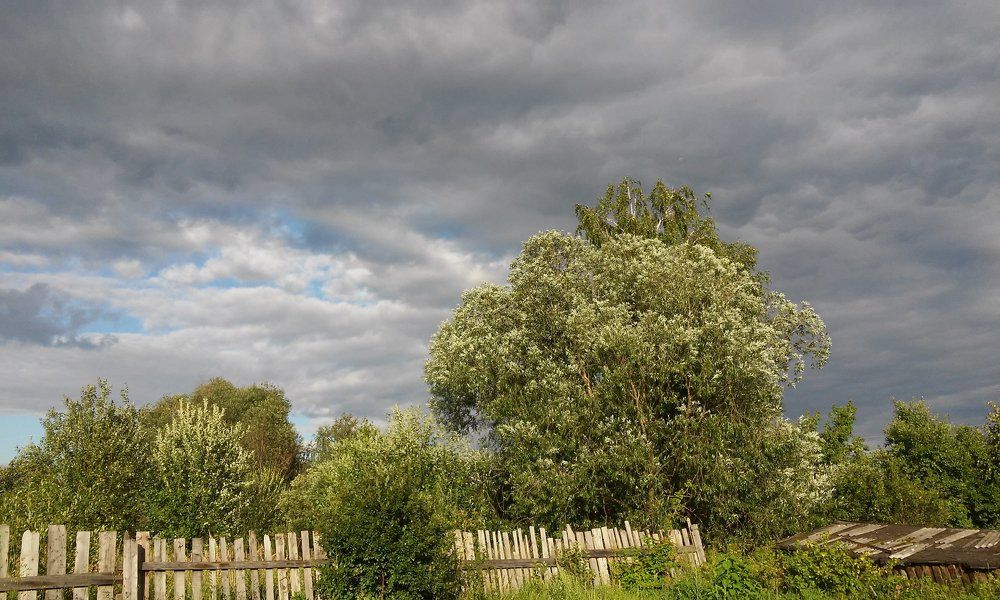 Photograph by Разиля