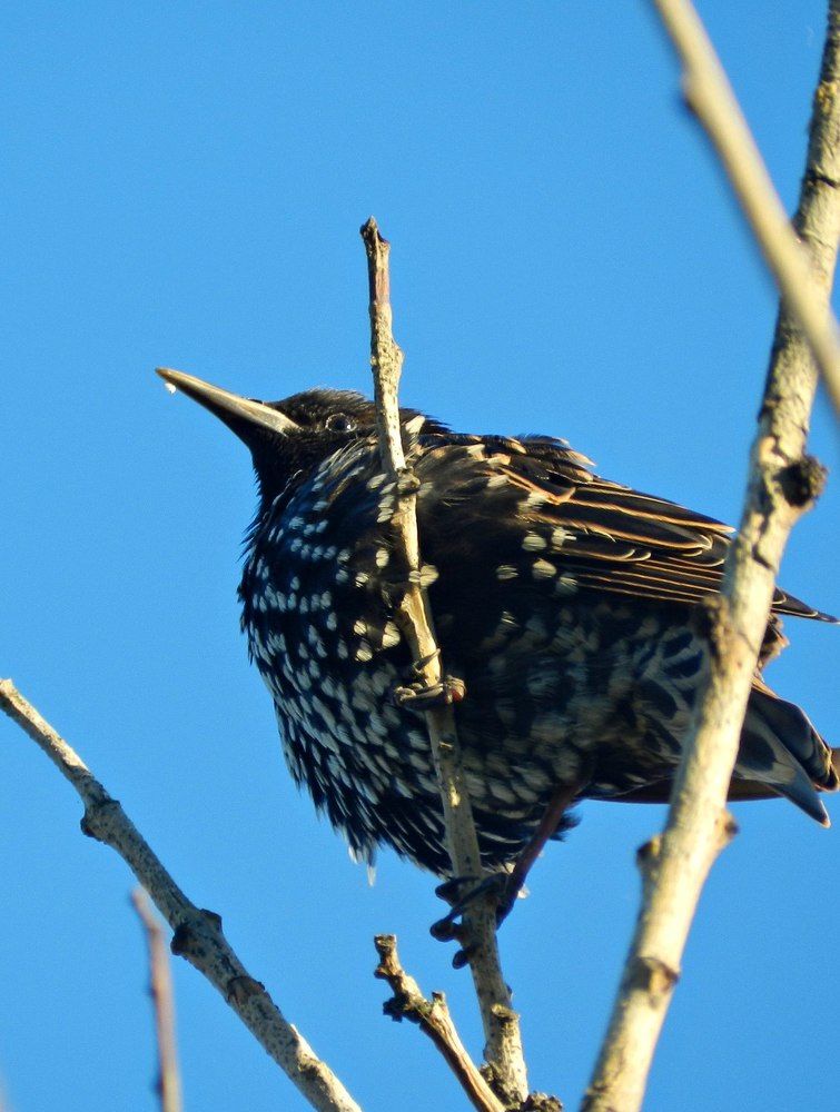 Photograph by Михаил Соцков