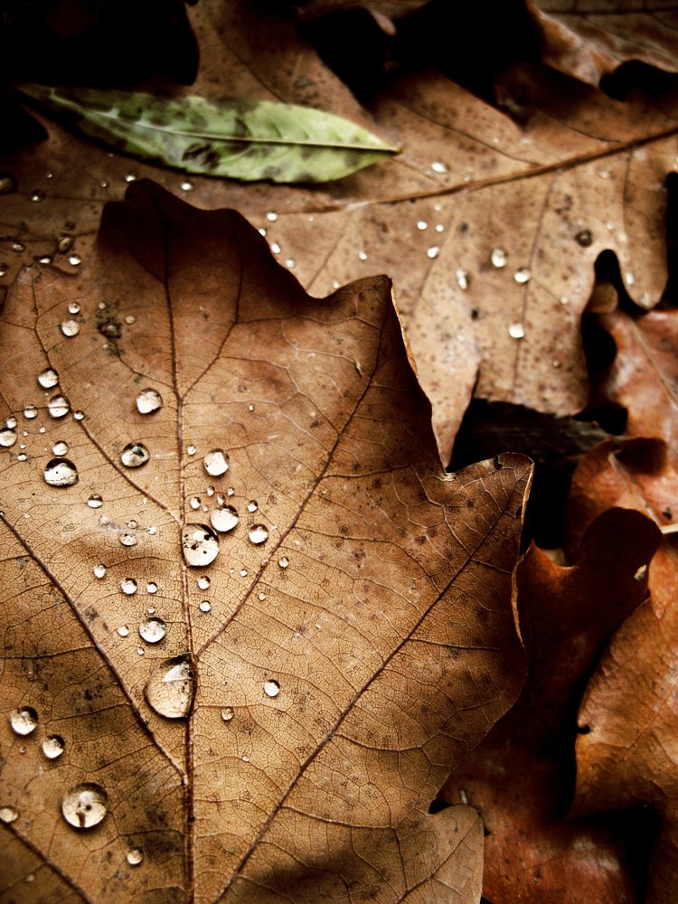 Без названия